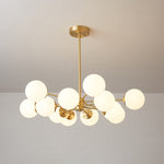 Elysium Brass and Glass Chandelier for Dining Room and Living Room