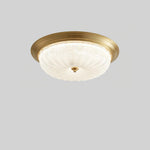 emily-ceiling-light