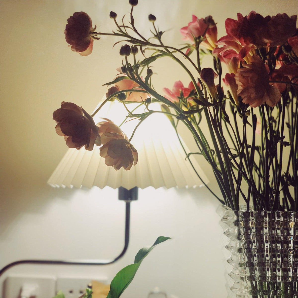 Eterna Tl Table Lamp