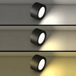 Ethan Modern LED Flush Mount Ceiling Light in Black or White