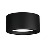 Ethan Modern LED Flush Mount Ceiling Light in Black or White