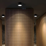 Ethan Modern LED Flush Mount Ceiling Light in Black or White