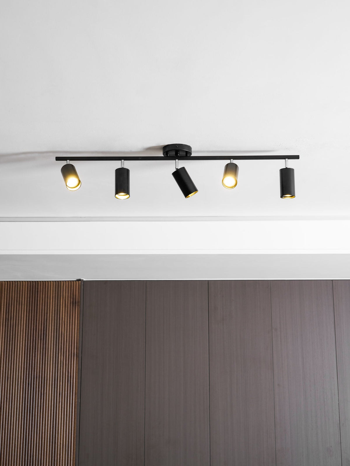 Evanna Modern Ceiling Light with Adjustable Spotlights, Gold Accents
