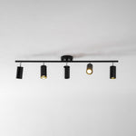 Evanna Modern Ceiling Light with Adjustable Spotlights, Gold Accents