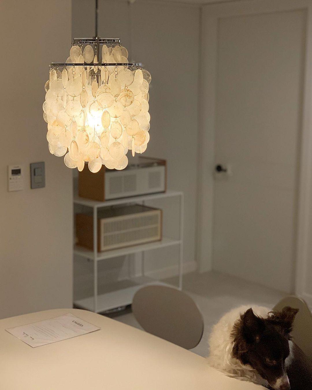 Shell Pendant Lamp