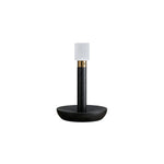 Fire Stick Cordless Wooden Table Lamp with LED