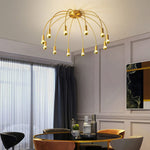 Fireworks Ceiling Light