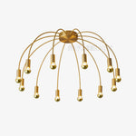 Fireworks Ceiling Light