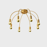 Fireworks Ceiling Light