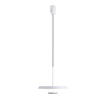 Flat Pendant Light