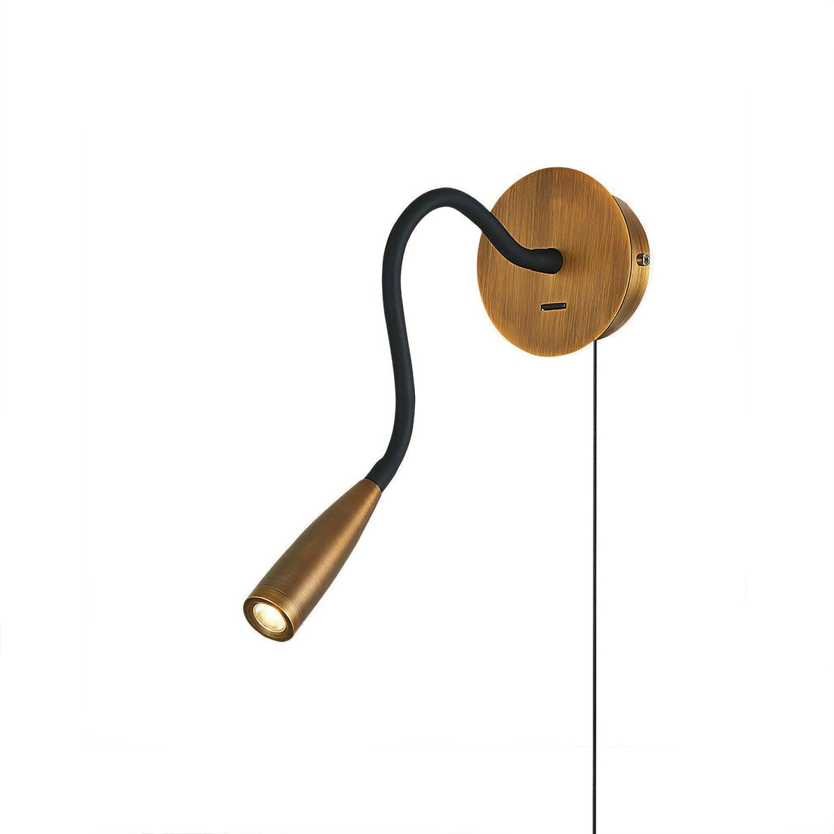 Flexi Hose Plug In Wall Light