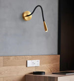 Flexi Hose Plug In Wall Light