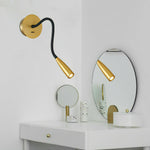 Flexi Hose Plug In Wall Light