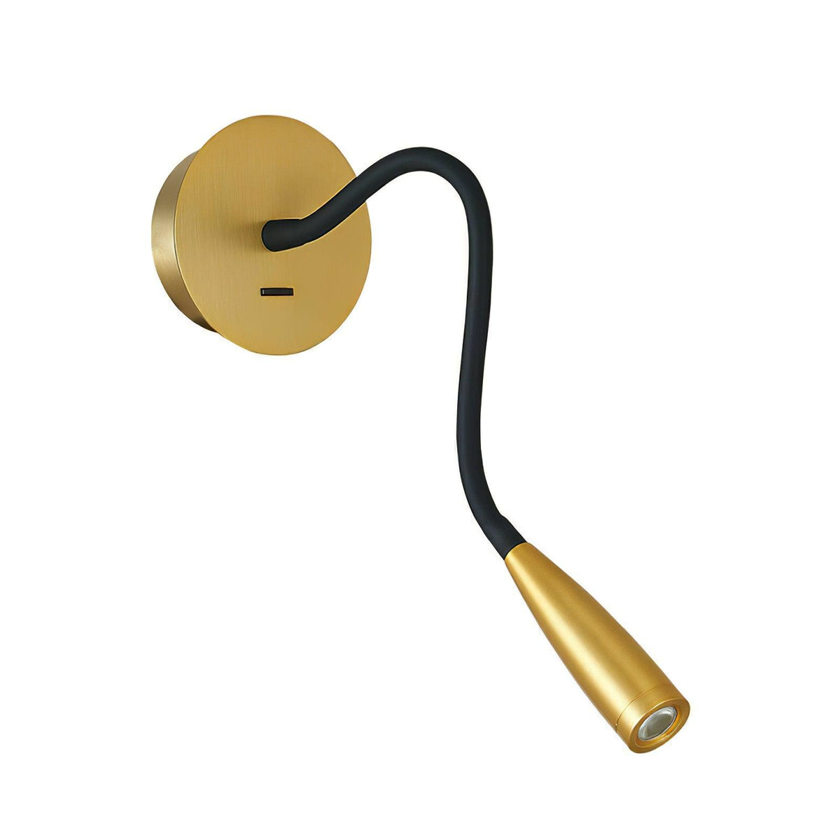 Flexi Hose Plug In Wall Light