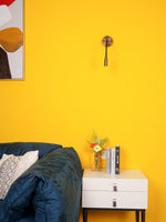 Flexi Hose Plug In Wall Light