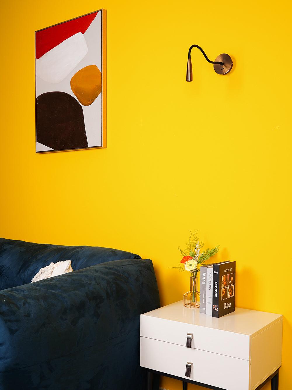 Flexi Hose Plug In Wall Light