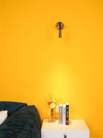 Flexi Hose Plug In Wall Light