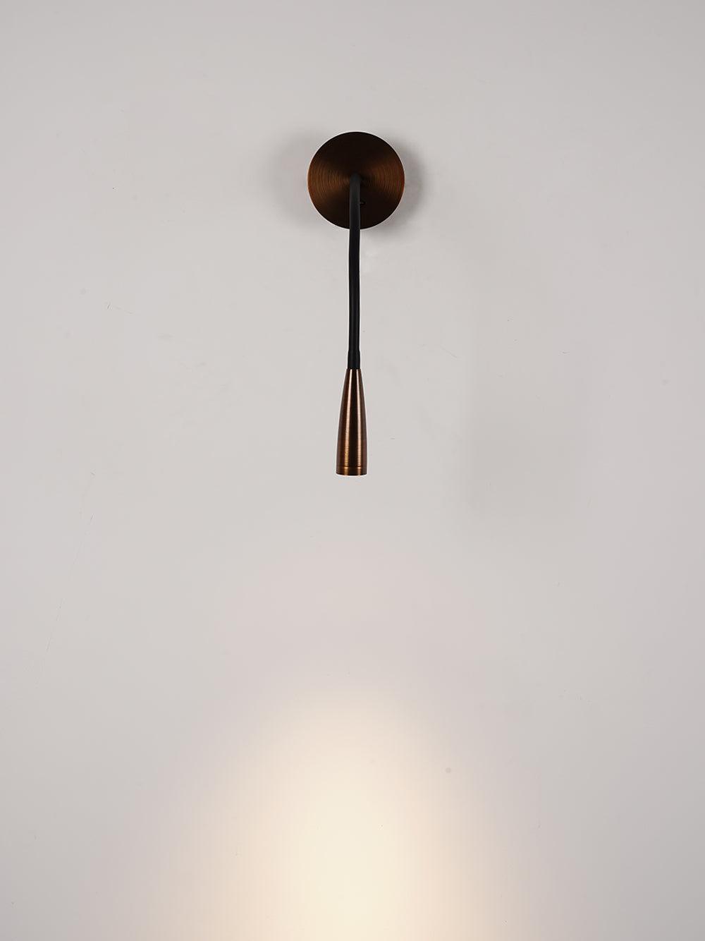 Flexi Hose Plug In Wall Light