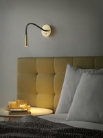 Flexi Hose Plug In Wall Light