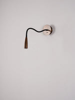 Flexi Hose Plug In Wall Light