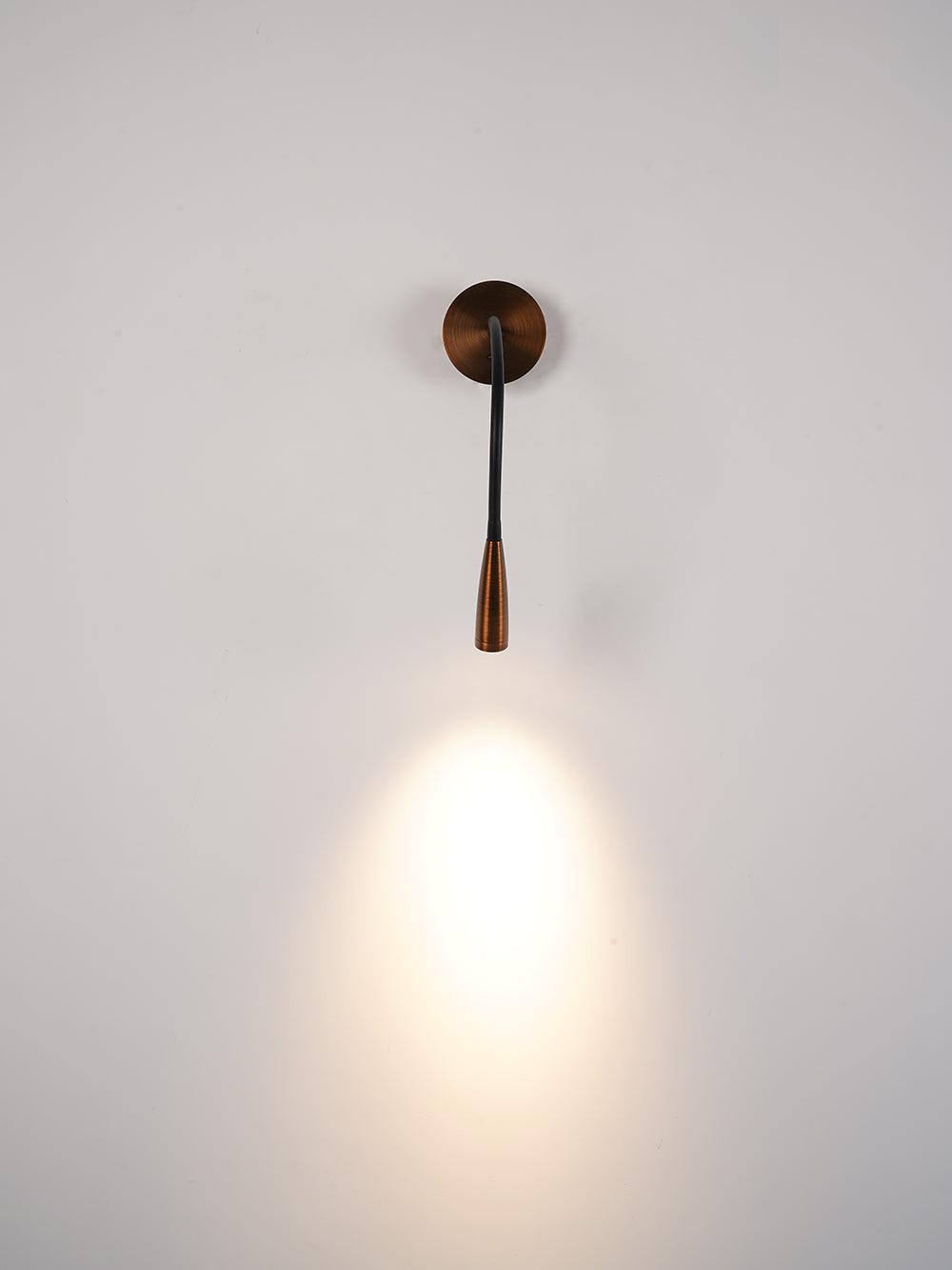 Flexi Hose Plug In Wall Light