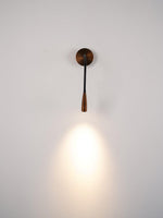 Flexi Hose Plug In Wall Light