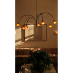 flora-glass-chandelier