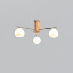 Flower Buds Ceiling Lamp