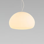 Fluid Pendant Light