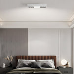 Ceiling Mount Linear Led Spotlight