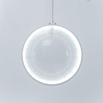 Focus Pendant Light