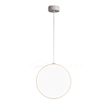 Focus Pendant Light