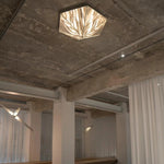 fragment-celing-lamp