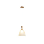 Frosted Glass Bowl Pendant Light