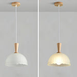 Frosted Glass Bowl Pendant Light