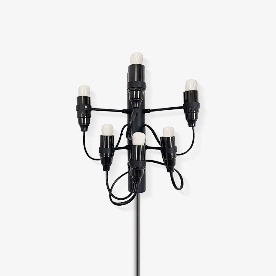 Fruit Plug In Wall Lamp