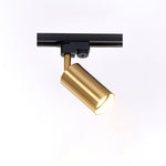Gilded Rail Track Light