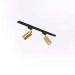 Gilded Rail Track Light