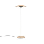Innovative Directional Floor Lamp