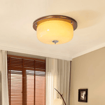 Aurelia Frosted Glass Dome Ceiling Light with Walnut Wood Accents