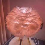 Goose Feather Table Lamp