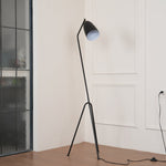 grasshopper-floor-lamp