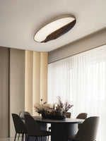 half-mountain-ceiling-lamp