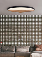 half-mountain-ceiling-lamp