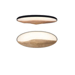 half-mountain-ceiling-lamp
