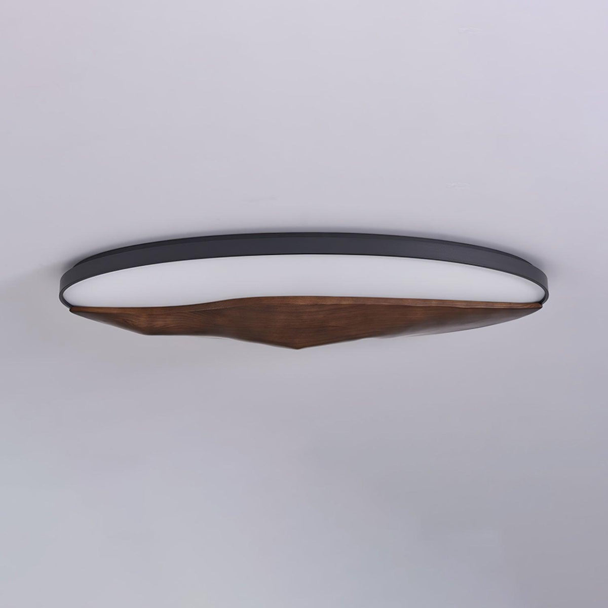 half-mountain-ceiling-lamp