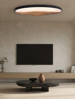 half-mountain-ceiling-lamp