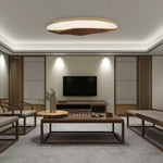 half-mountain-ceiling-lamp
