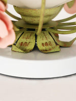 hanging-flower-ceiling-lamp
