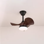 Harper Ceiling Fan Light with LED, Walnut & Black, Modern Designer Fan